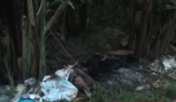 Thông tin mới nhất vụ thi thể cô gái bị đốt cháy trong bụi chuối